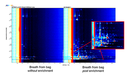 Thermo Desorber Application Gas Chromatogram