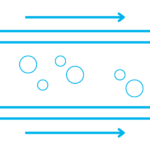 Vascularization & Organ-Specific Perfusion