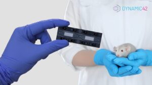 organ-on-chip animal testing